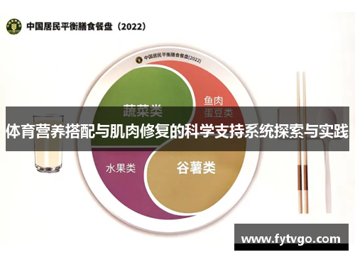 体育营养搭配与肌肉修复的科学支持系统探索与实践